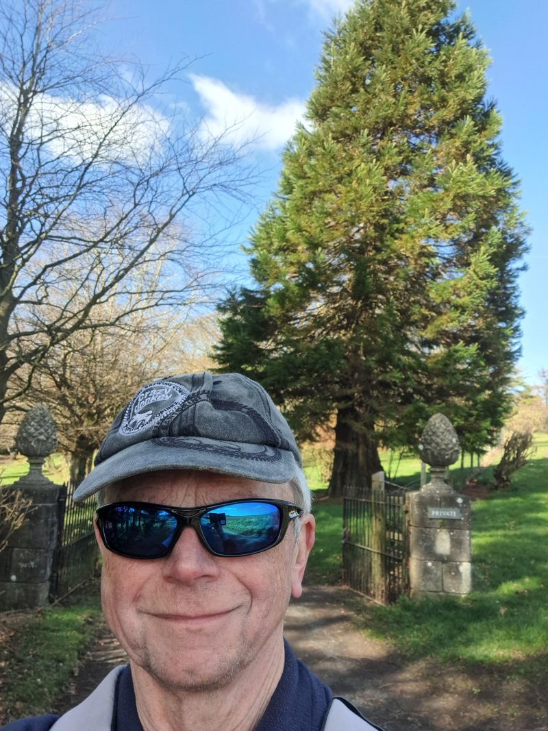 Walkingman_34