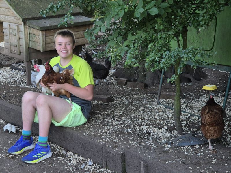 chickenlover2025